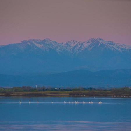 "Chill" Magnifique Vue Sur La Mer Et Le Port Au Coeur De La Ville En Premiere Ligne Canet-en-Roussillon Exteriör bild