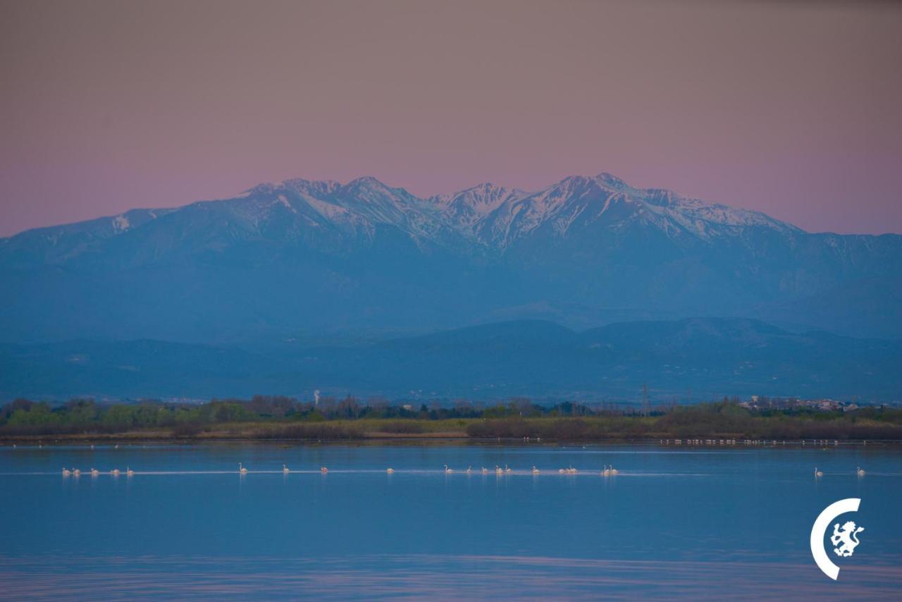 "Chill" Magnifique Vue Sur La Mer Et Le Port Au Coeur De La Ville En Premiere Ligne Canet-en-Roussillon Exteriör bild