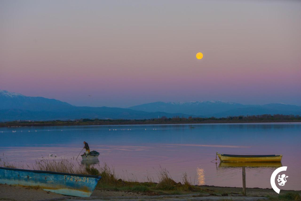"Chill" Magnifique Vue Sur La Mer Et Le Port Au Coeur De La Ville En Premiere Ligne Canet-en-Roussillon Exteriör bild